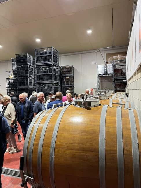 Alicante: Wine Tour and Lunch with Bodega Visit and Novelda - An In-Depth Look: What to Expect on the Tour