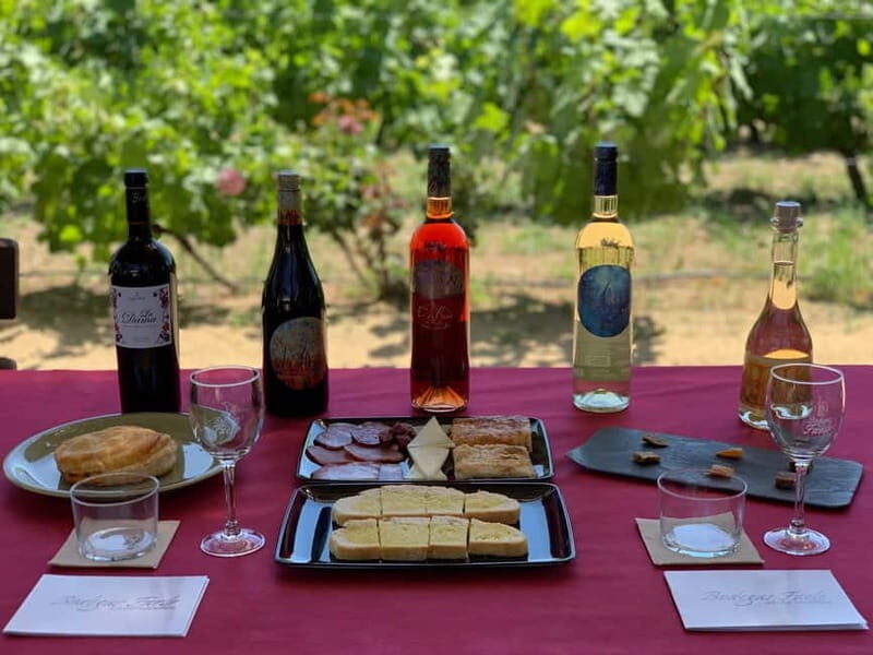 Alicante: Wine Tour and Lunch with Bodega Visit and Novelda - Practical Details and Tips for Visitors