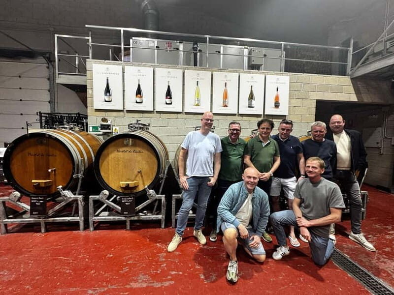 Alicante; Wine Tour Wineries, Food, and Transportation Included - Key Points