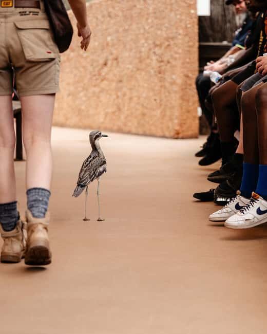 Alice Springs: Desert Park Entry Ticket - What Did Visitors Love Most?