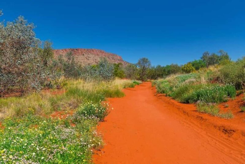 Alice Springs: Desert Park Entry Ticket - FAQ