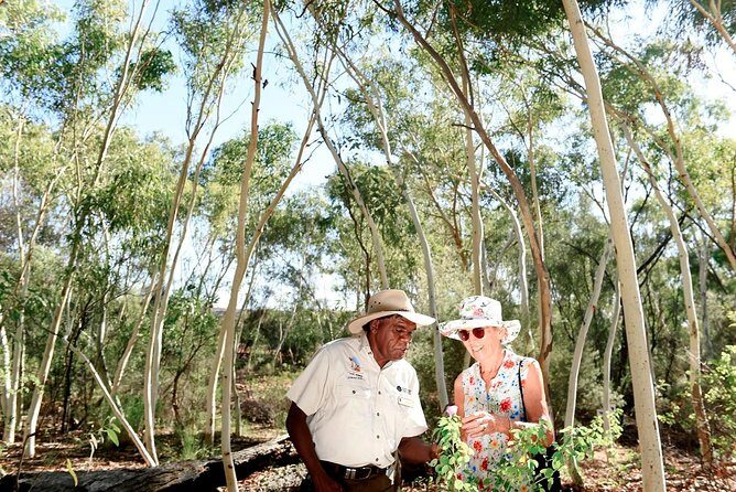 Alice Springs Desert Park General Entry Ticket - The Detailed Itinerary Breakdown