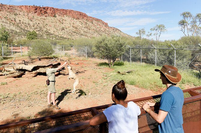 Alice Springs Desert Park General Entry Ticket - Final Thoughts