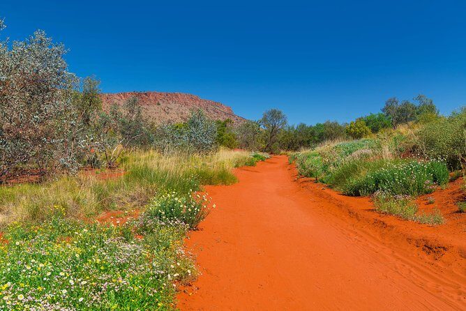 Alice Springs Desert Park General Entry Ticket - FAQ