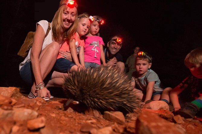 Alice Springs Desert Park Nocturnal Tour - Authentic Experiences and Review Insights