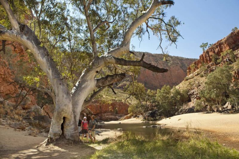Alice Springs: Larapinta Hiking Trail 5 Day Adventure Safari - A Detailed Look at the Trail Experience