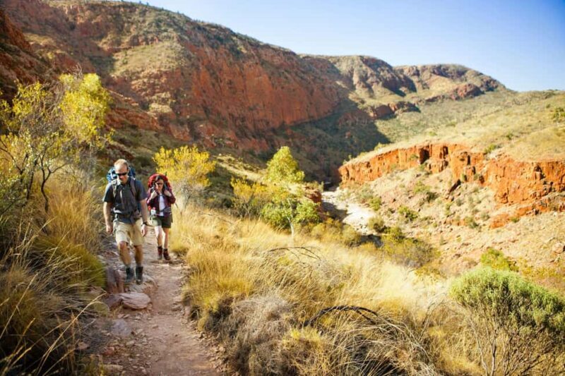 Alice Springs: Larapinta Hiking Trail 5 Day Adventure Safari - Final Thoughts: Who Will Love This Tour?