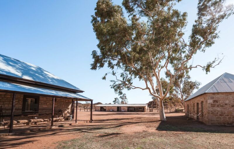 Alice Springs: Town Highlights and West MacDonnell Ranges - An Overview of the Tour Experience