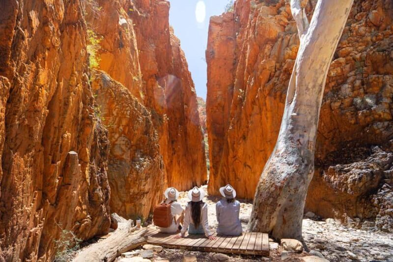 Alice Springs: West MacDonnell Ranges Day Tour with Lunch - A Detailed Look at the Tour Experience