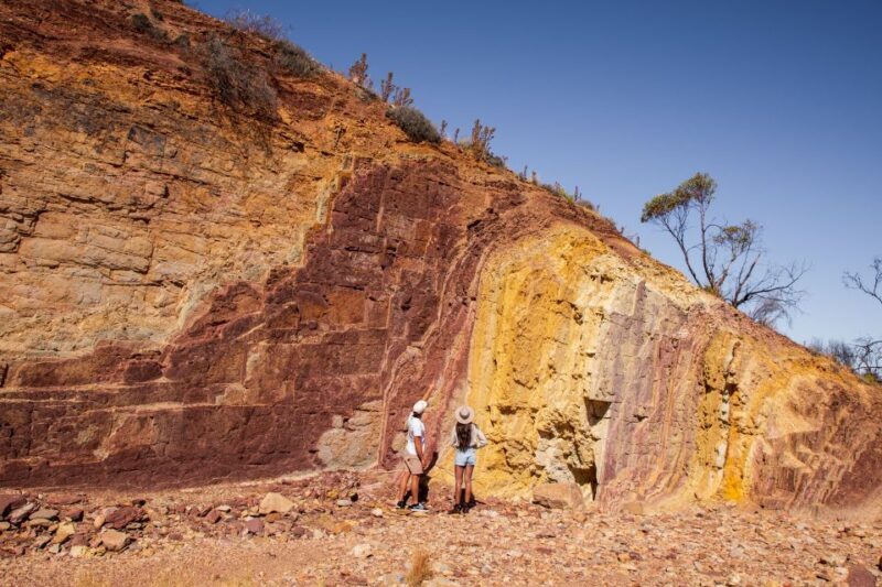 Alice Springs: West MacDonnell Ranges & Standley Chasm Tour - Who Would Love This Tour?