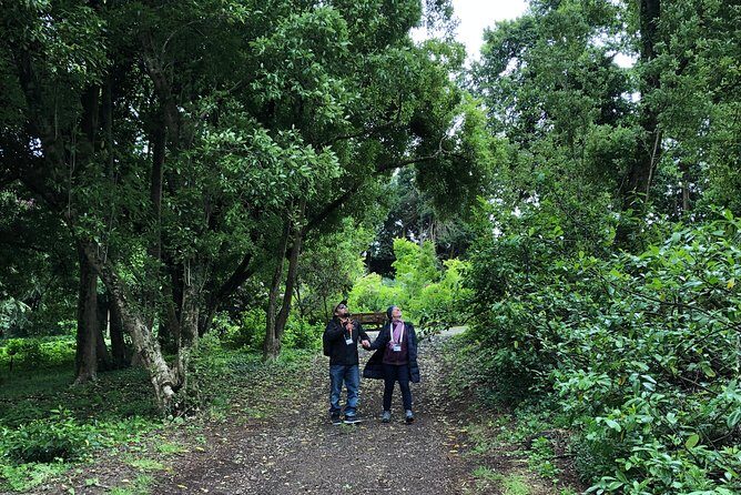 Alices Journeys Walking Tours of Daylesford 2.30pmFRI 11.30amSAT - FAQs