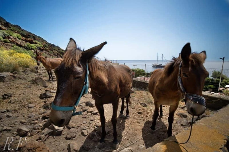 Alicudi e filicudi tour from Lipari - FAQs  