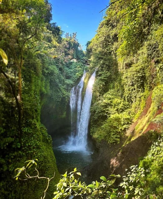 aling-aling-gitgit-and-banyumala-waterfalls-tours