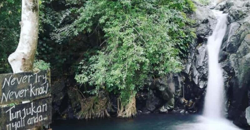 aling-aling-gitgit-and-banyumala-waterfalls-tours