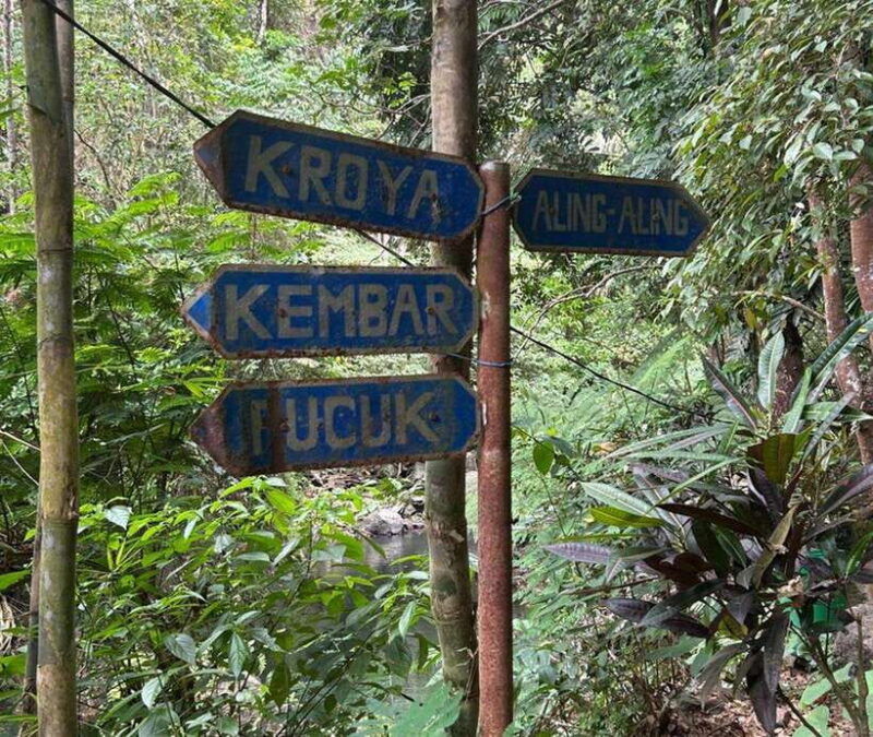 aling-aling-waterfallsmedium-trek