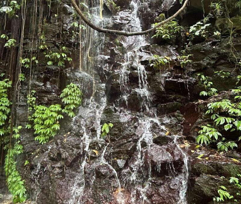 aling-aling-waterfallsmedium-trek