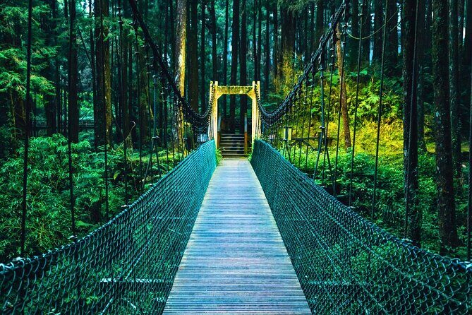 Alishan 2Day Shared Tour from Taipei - An Overview of the Tour Experience