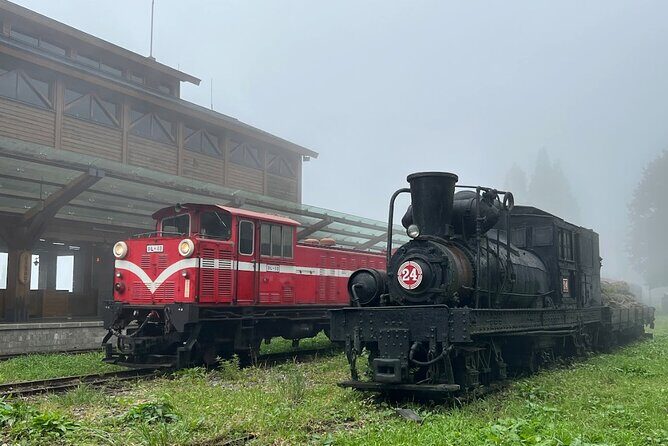 Alishan Day Tour from Chiayi (Incl. Park Entrance) - Key Points
