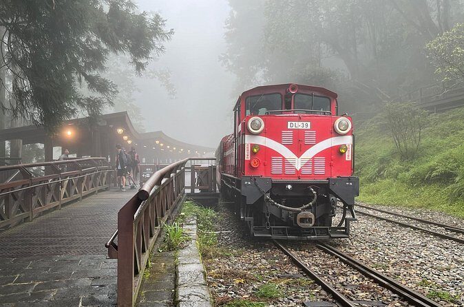 Alishan Day Tour from Chiayi (Incl. Park Entrance) - Final Thoughts