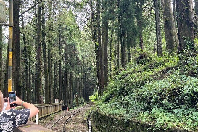 Alishan Day Tour from Kaohsiung (Incl. Park Entrance) - Journey to Alishan: What to Expect