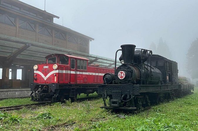 Alishan Day Tour from Kaohsiung (Incl. Park Entrance) - FAQ