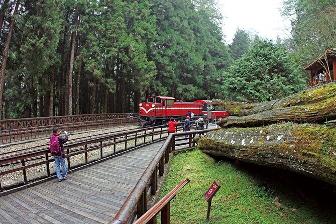Alishan National Forest Recreation Area Ticket by Zhushan Line - Deep Dive into the Itinerary
