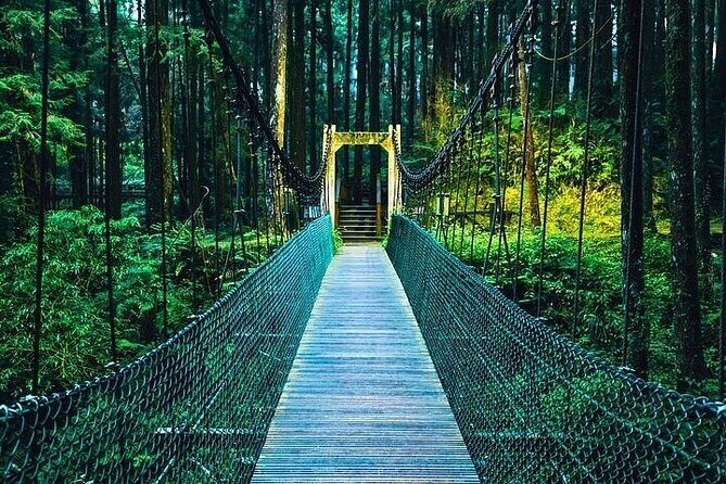 Alishan National Forest Recreation Area Ticket by Zhushan Line - Authentic Insights from Reviewers