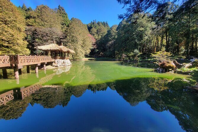 Alishan National Forest Recreation Area Ticket by Zhushan Line - The Sum Up: Is This Tour Right for You?