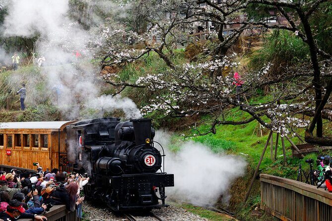 Alishan Taiwan 2 Day Private Tour from Taipei - Authentic Insights from Reviews