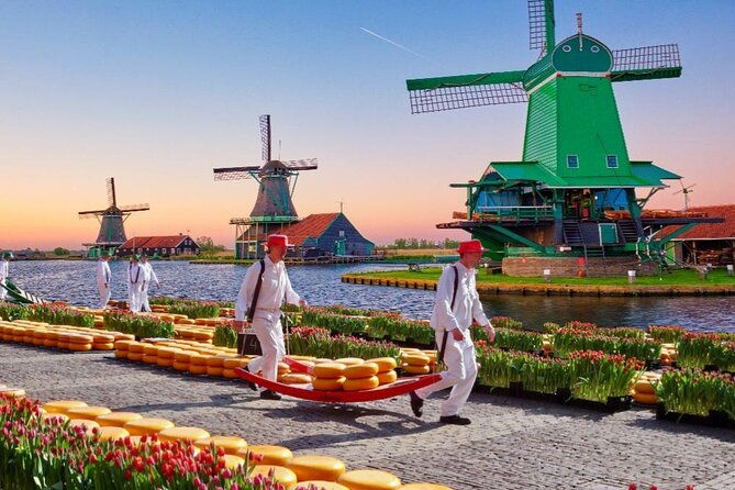 alkmaar-cheese-market-zaanse-schans-guided-day-tour
