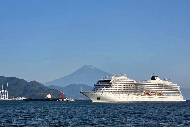 All-about Mt.Fuji Short Tour from Shimizu Port - Who Is This Tour Best Suited For?