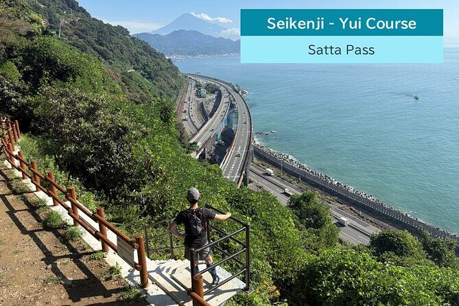 All-about Mt.Fuji Short Tour from Shimizu Port - Final Thoughts