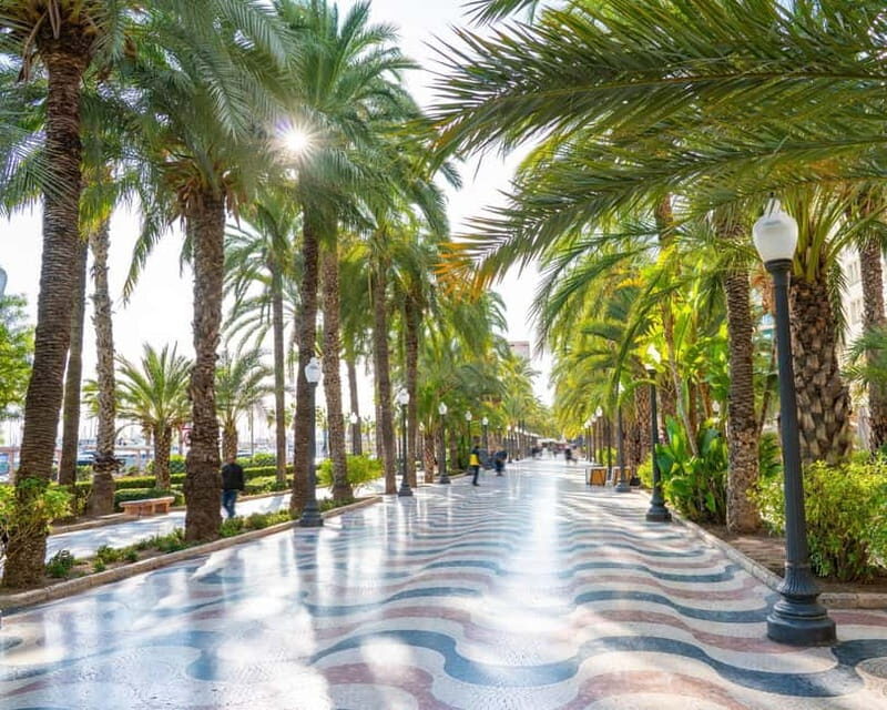 All Alicante with Castle, Market and Tapas. Small group max 8 people - Why Choose This Tour?