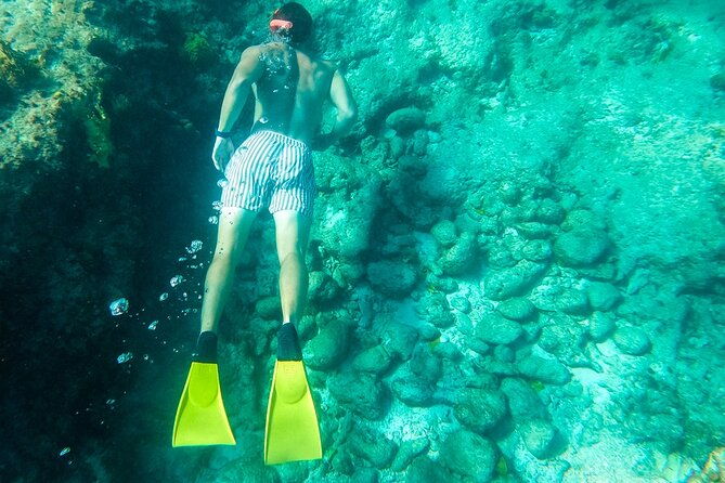 all-day-adventure-with-a-beach-bbq-feast-from-providenciales