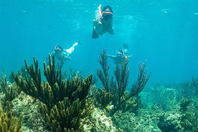 all-day-adventure-with-a-beach-bbq-feast-from-providenciales