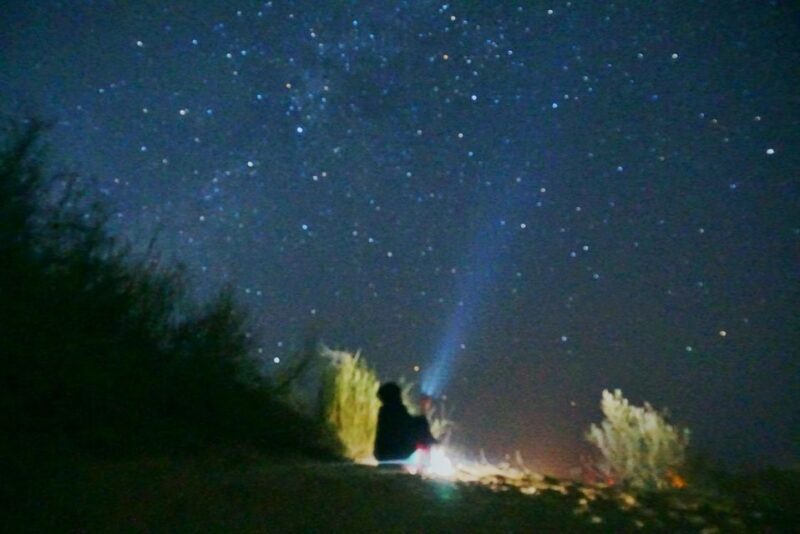 All-Day Desert Safari with Cultural Program - Camel Ride and Sunset Magic