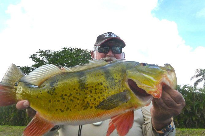 all-day-miami-peacock-bass-fishing-trip