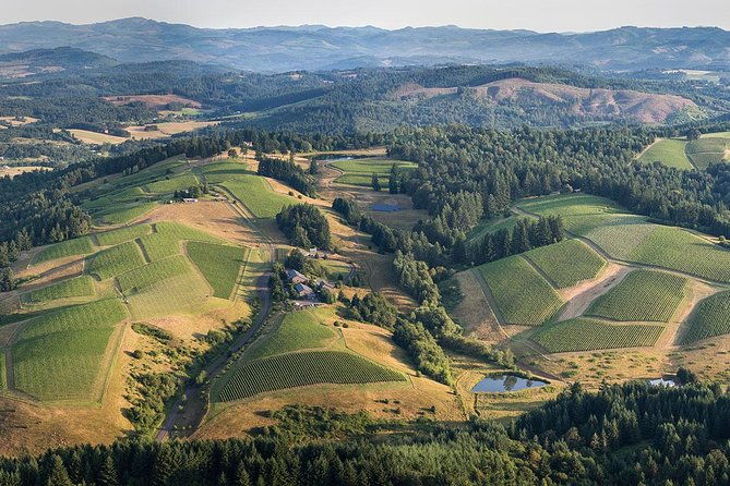 all-day-northern-oregon-wineries-and-forest-bike-tour