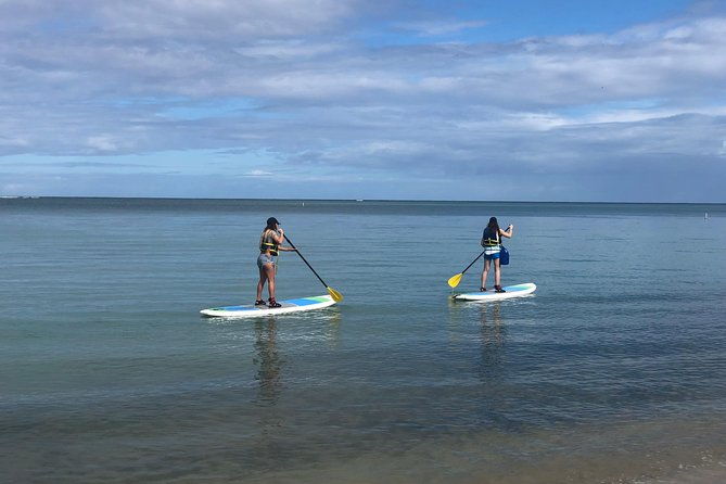 all-day-paddleboard-rental