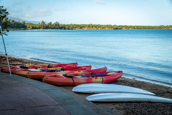 all-day-paddleboard-rental