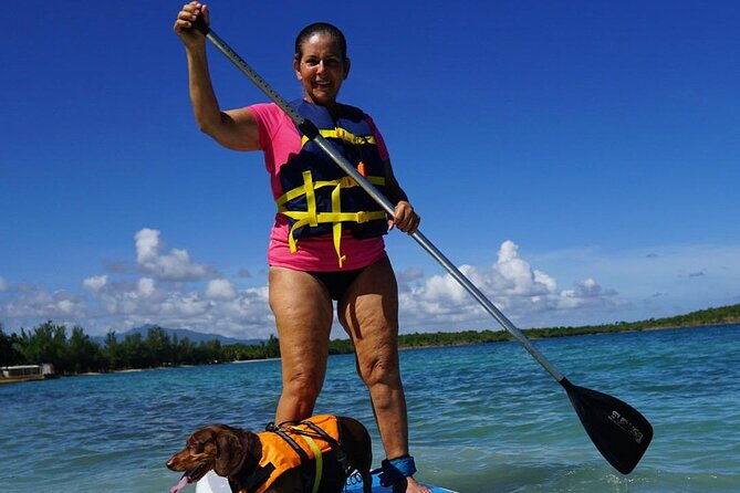 all-day-paddleboard-rental