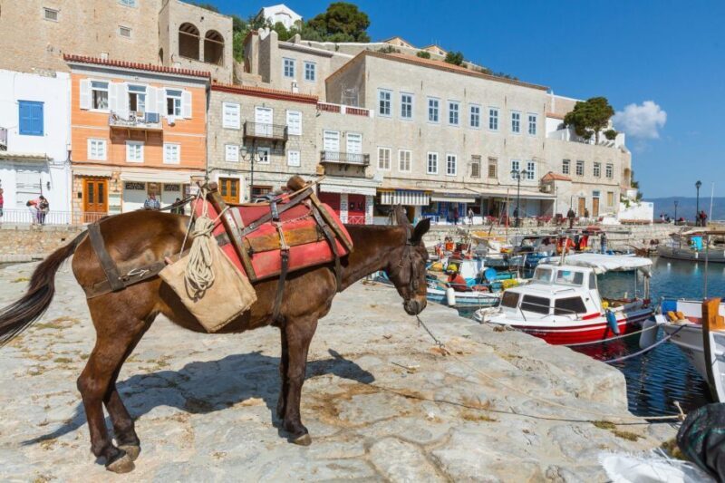 "All-Day Private Excursion to Hydra Island from Athens" - FAQs