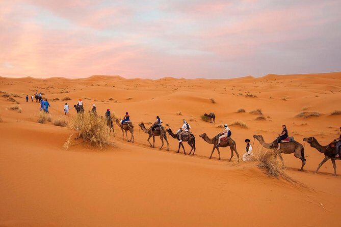All exclusive, 4-Day Group Desert Tour To Fes From Marrakech - Who Is This Tour Best For?