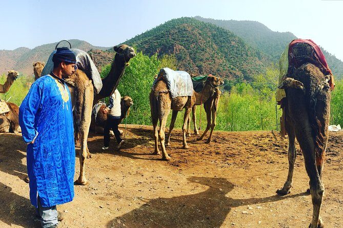 All exclusive, Day Trip To Ourika Valley From Marrakech - FAQ