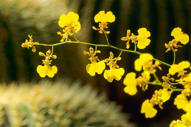 all-garden-pass-for-the-new-york-botanical-garden-2