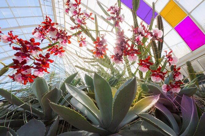 all-garden-pass-for-the-new-york-botanical-garden-2