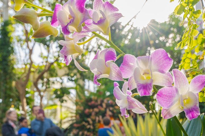 all-garden-pass-for-the-new-york-botanical-garden-2