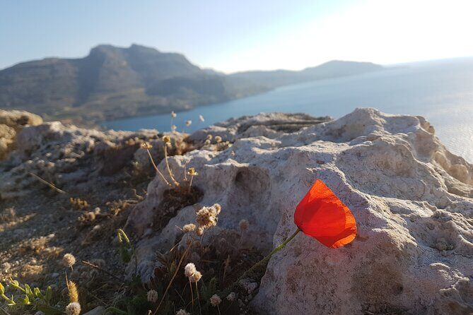 All in One Full Day Rhodes Island Tour for First Time Visitors - Some considerations