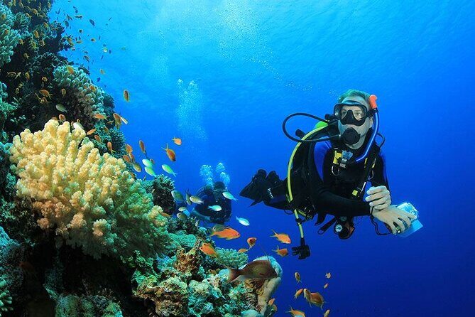 All in One intro Diving & Snorkeling & Water Sport -Hurghada - Key Points