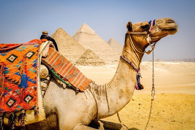 All INC- Pyramids,Camel Ride(1 hour) four wheeler (ATV)& Lunch - Adventure on the Desert Sands: ATV and Camel Riding
